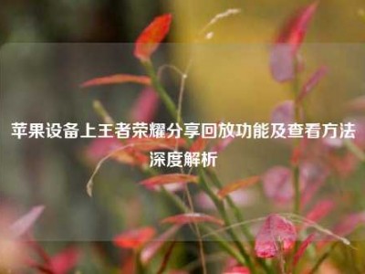 苹果设备上王者荣耀分享回放功能及查看方法深度解析
