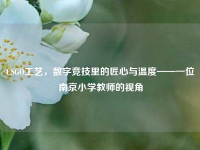 CSGO工艺，数字竞技里的匠心与温度——一位南京小学教师的视角