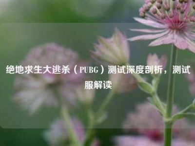 绝地求生大逃杀（PUBG）测试深度剖析，测试服解读