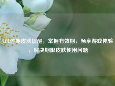 LOL过期皮肤提醒，掌握有效期，畅享游戏体验，解决期限皮肤使用问题