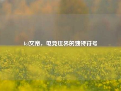 lol文帝，电竞世界的独特符号