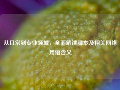 从日常到专业领域，全面解读脚本及相关网络用语含义