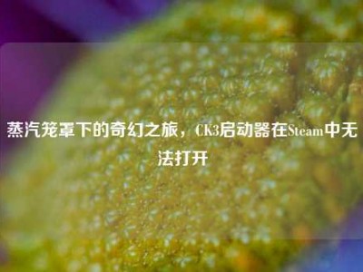 蒸汽笼罩下的奇幻之旅，CK3启动器在Steam中无法打开