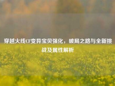 穿越火线CF变异宝贝强化，破局之路与全新挑战及属性解析