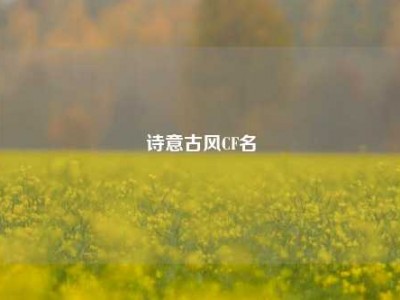 诗意古风CF名
