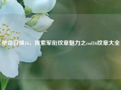 使命召唤16，探索军衔纹章魅力之cod16纹章大全