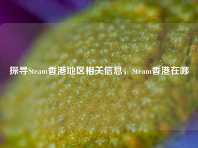 探寻Steam香港地区相关信息，Steam香港在哪