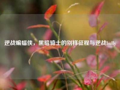 逆战蝙蝠侠，黑暗骑士的别样征程与逆战bully