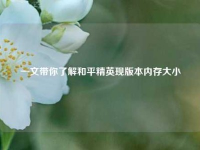 一文带你了解和平精英现版本内存大小