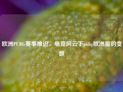 欧洲PUBG赛事推迟，电竞风云下pubg欧洲服的变数