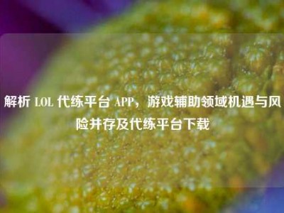 解析 LOL 代练平台 APP，游戏辅助领域机遇与风险并存及代练平台下载