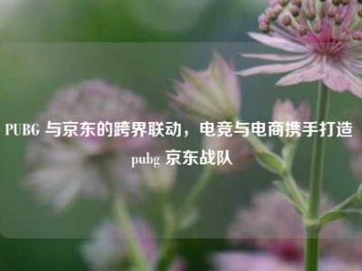 PUBG 与京东的跨界联动，电竞与电商携手打造 pubg 京东战队