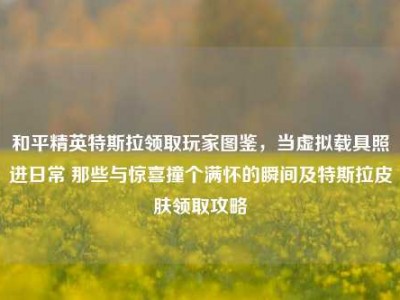 和平精英特斯拉领取玩家图鉴，当虚拟载具照进日常 那些与惊喜撞个满怀的瞬间及特斯拉皮肤领取攻略
