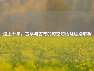 弦上千年，古筝与古琴的时空对话及区别解析