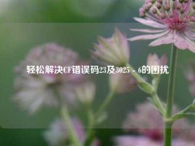 轻松解决CF错误码23及3025 - 6的困扰