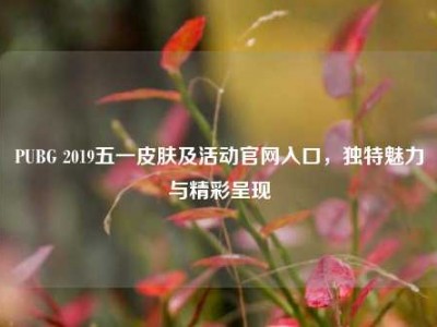 PUBG 2019五一皮肤及活动官网入口，独特魅力与精彩呈现