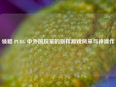 领略 PUBG 中外国玩家的别样游戏风采与神操作