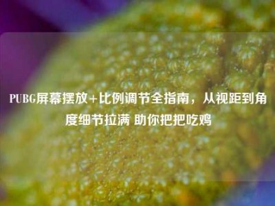 PUBG屏幕摆放+比例调节全指南，从视距到角度细节拉满 助你把把吃鸡
