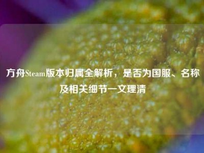 方舟Steam版本归属全解析，是否为国服、名称及相关细节一文理清