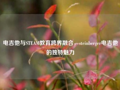 电吉他与STEAM教育跨界融合，steinberger电吉他的独特魅力