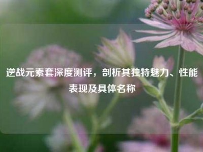 逆战元素套深度测评，剖析其独特魅力、性能表现及具体名称