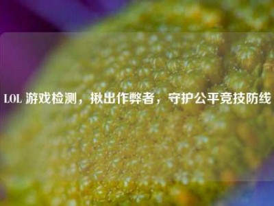 LOL 游戏检测，揪出作弊者，守护公平竞技防线