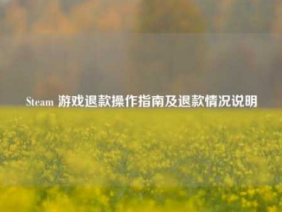 Steam 游戏退款操作指南及退款情况说明