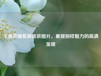 王者荣耀紫薇新装图片，展现别样魅力的高清呈现
