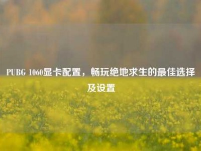 PUBG 1060显卡配置，畅玩绝地求生的最佳选择及设置
