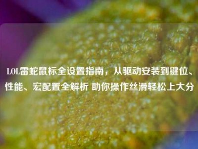 LOL雷蛇鼠标全设置指南，从驱动安装到键位、性能、宏配置全解析 助你操作丝滑轻松上大分