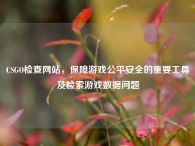 CSGO检查网站，保障游戏公平安全的重要工具及检索游戏数据问题