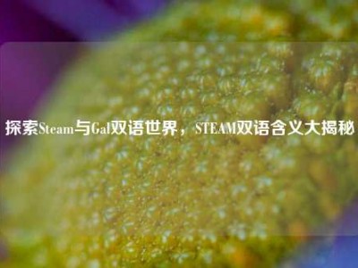 探索Steam与Gal双语世界，STEAM双语含义大揭秘