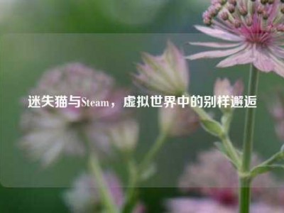 迷失猫与Steam，虚拟世界中的别样邂逅