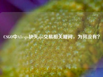 CSGO中A1csgo缺失api交易相关疑问，为何没有？