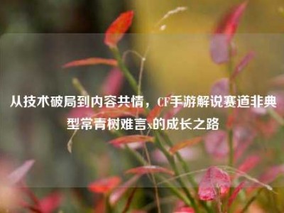 从技术破局到内容共情，CF手游解说赛道非典型常青树难言x的成长之路