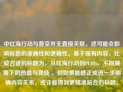 中红海行动与普京并无直接关联，这可能会影响标题的准确性和逻辑性。基于现有内容，比较合适的标题为，从红海行动到PUBG，不同视角下的热血与竞技 。但如果能修正或进一步明确内容关系，或许能得到更精准贴合的标题。