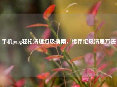 手机pubg轻松清理垃圾指南，缓存垃圾清理方法