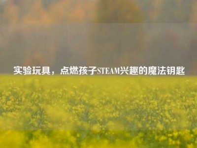 实验玩具，点燃孩子STEAM兴趣的魔法钥匙