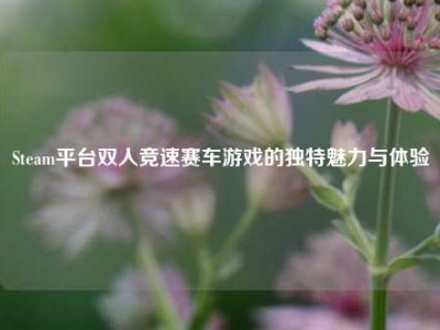 Steam平台双人竞速赛车游戏的独特魅力与体验