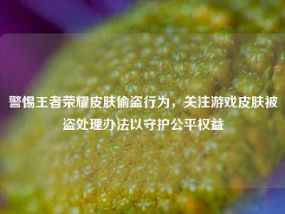 警惕王者荣耀皮肤偷盗行为，关注游戏皮肤被盗处理办法以守护公平权益