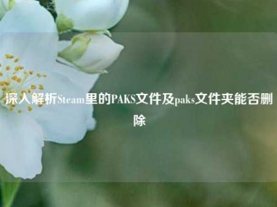 深入解析Steam里的PAKS文件及paks文件夹能否删除