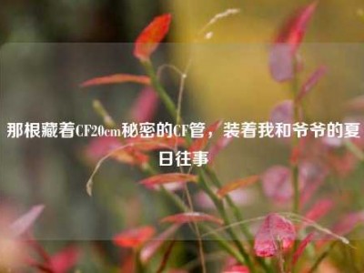那根藏着CF20cm秘密的CF管，装着我和爷爷的夏日往事