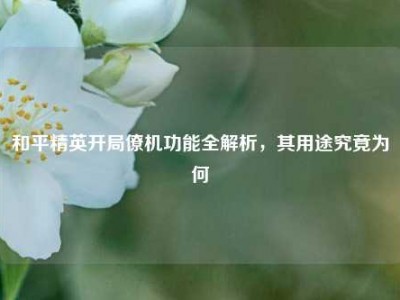 和平精英开局僚机功能全解析，其用途究竟为何