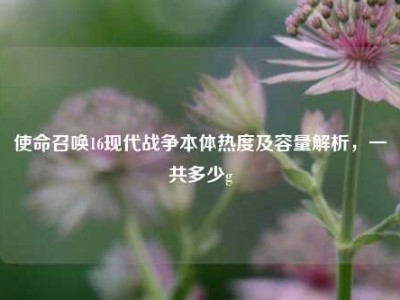 使命召唤16现代战争本体热度及容量解析，一共多少g