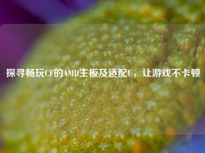 探寻畅玩CF的AMD主板及适配U，让游戏不卡顿