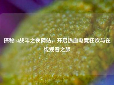 探秘lol战斗之夜网站，开启热血电竞狂欢与在线观看之旅