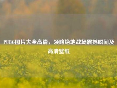 PUBG图片大全高清，领略绝地战场震撼瞬间及高清壁纸