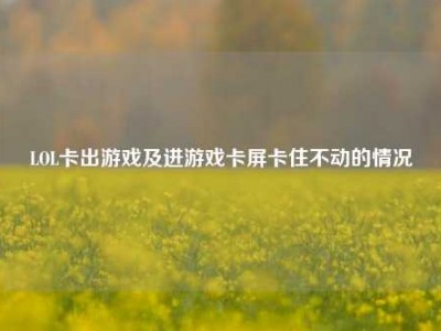 LOL卡出游戏及进游戏卡屏卡住不动的情况