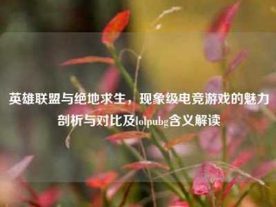 英雄联盟与绝地求生，现象级电竞游戏的魅力剖析与对比及lolpubg含义解读