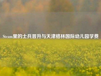 Steam里的士兵晋升与天津格林国际幼儿园学费